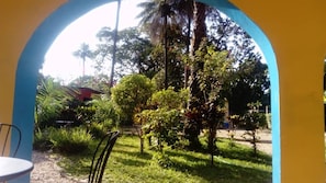 Estudio Confort | Vistas desde la habitación