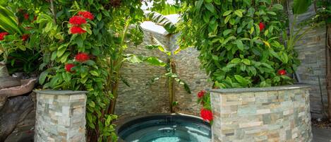 Servicio de la propiedad