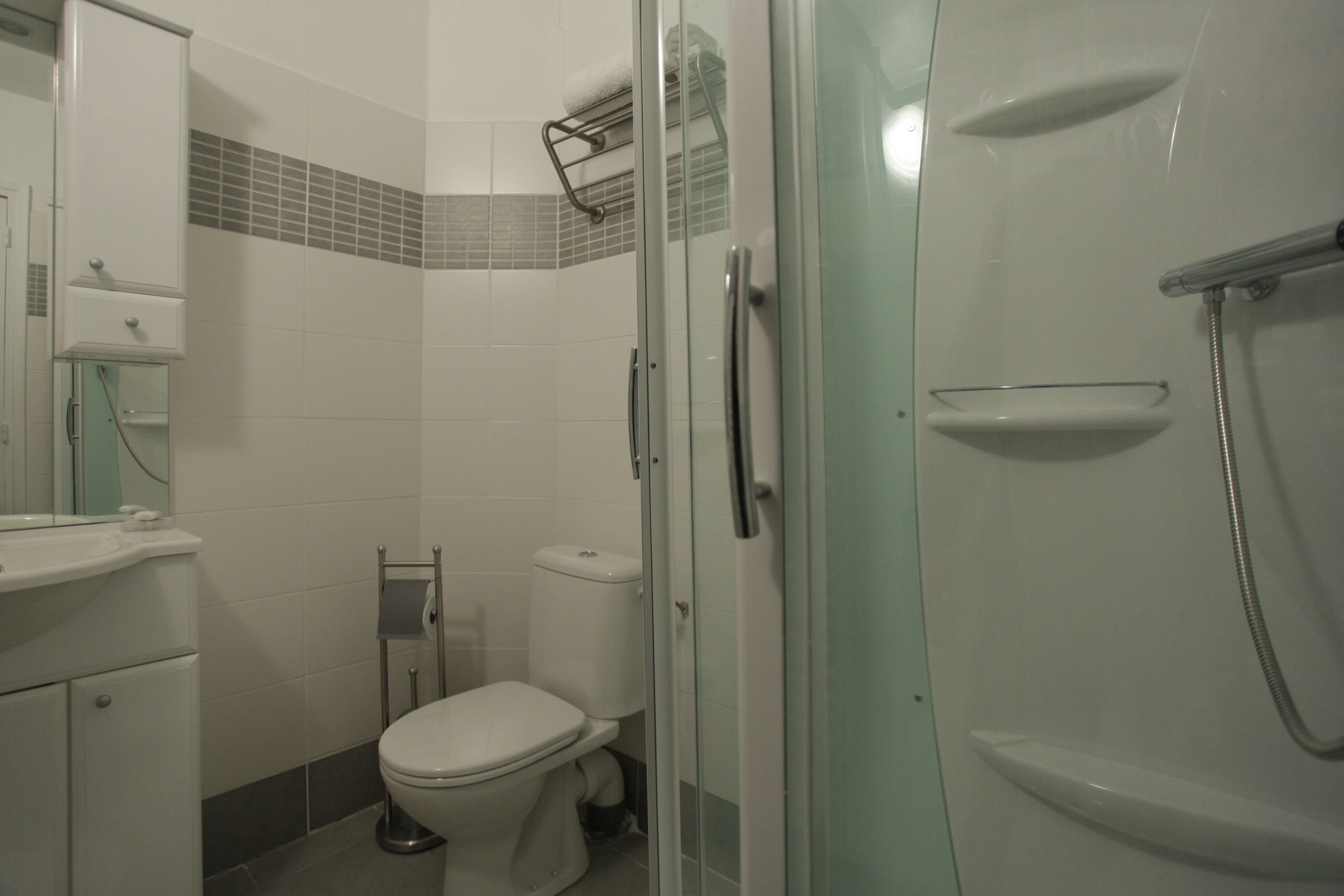 Een badkamer met toilet, wastafel en een douchecabine met glazen wanden.
