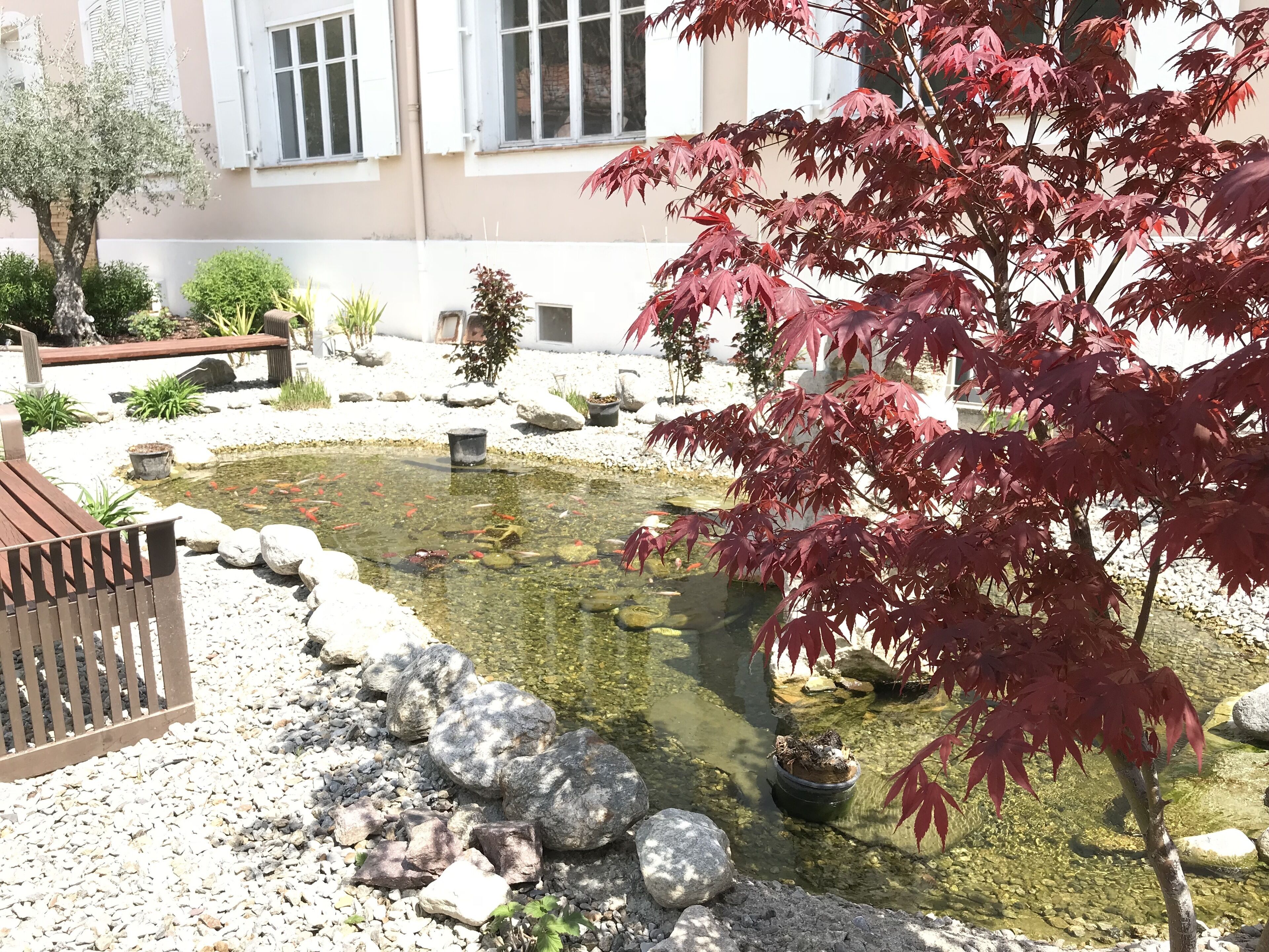 Um jardim com lago, pedras e um banco.