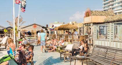 Tiny Home Historical