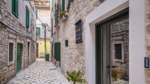 Une ruelle étroite pavée de pierres, bordée de bâtiments en pierre, avec des volets verts et un pot de fleurs.