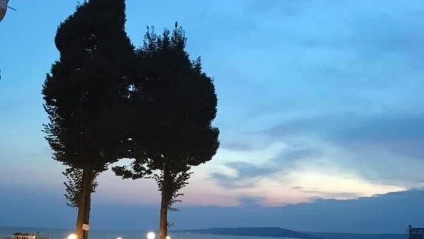 A poolside area with lounge chairs and a pool, surrounded by trees and a view of the sea. - Hotel Helios (Balchik)