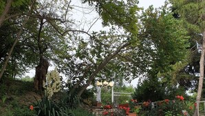 A stone staircase leading up to a garden area with various plants and flowers. - Hotel Helios (Balchik)