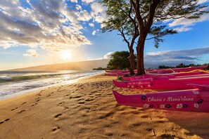 Ein Strand mit Fußspuren, die zu einer Reihe rosafarbener Kanus, einem Baum und dem Meer führen.