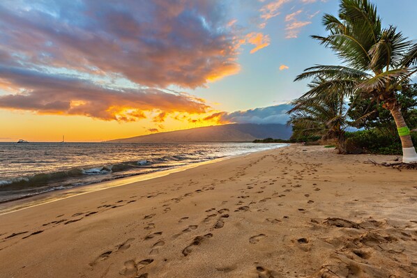 Una playa con huellas que conducen al agua, una palmera y una puesta de sol al fondo.