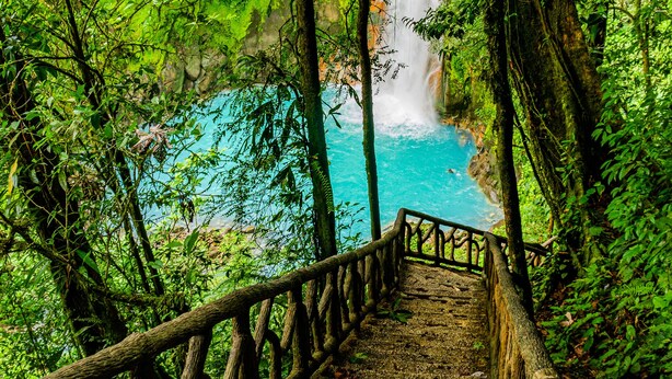 A wooden pathway leading to a waterfall in a lush green forest. - Agutipaca B&B (Río Naranjo)