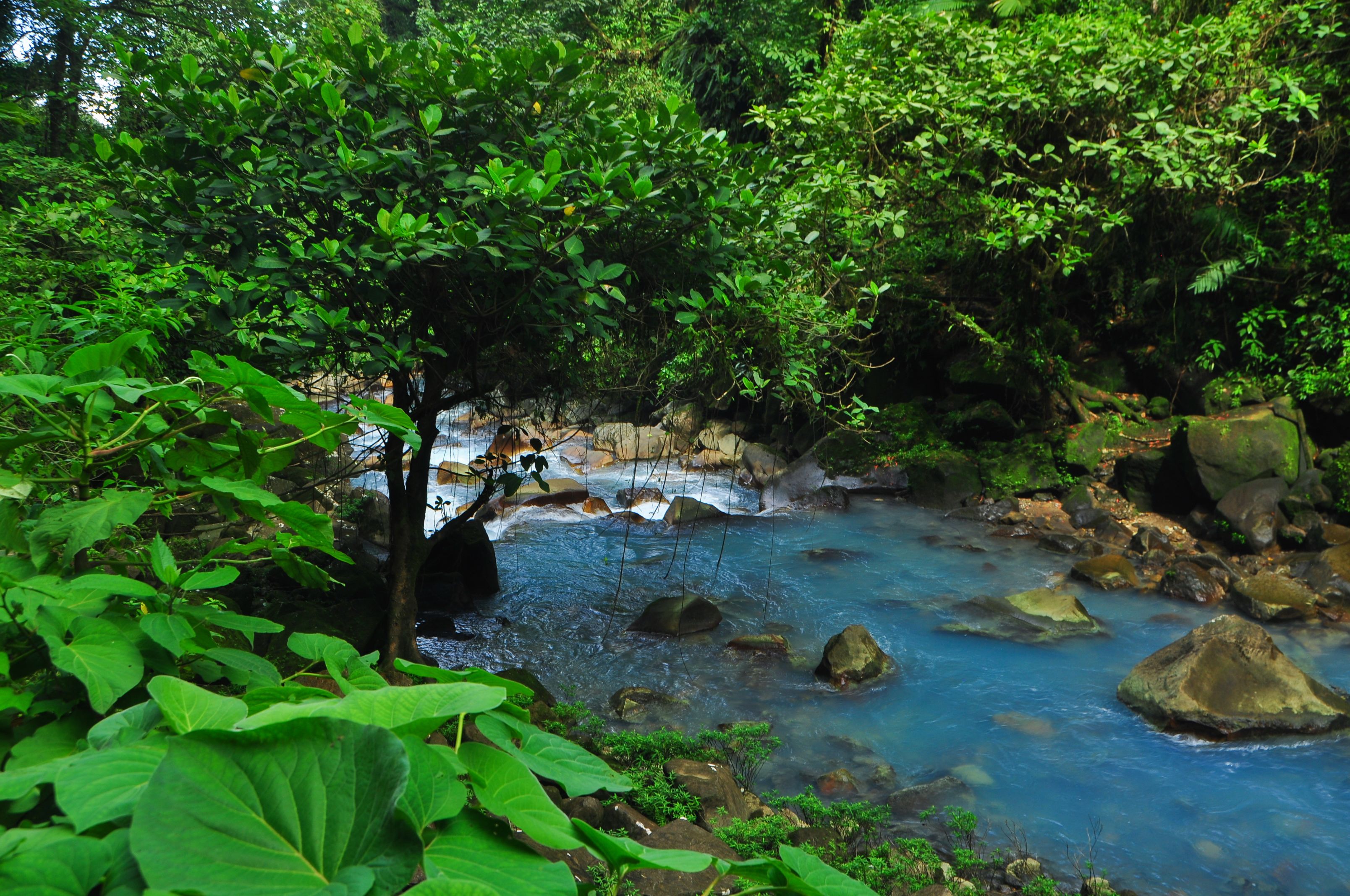 A natural landscape with a flowing river, surrounded by dense green foliage and rocks.