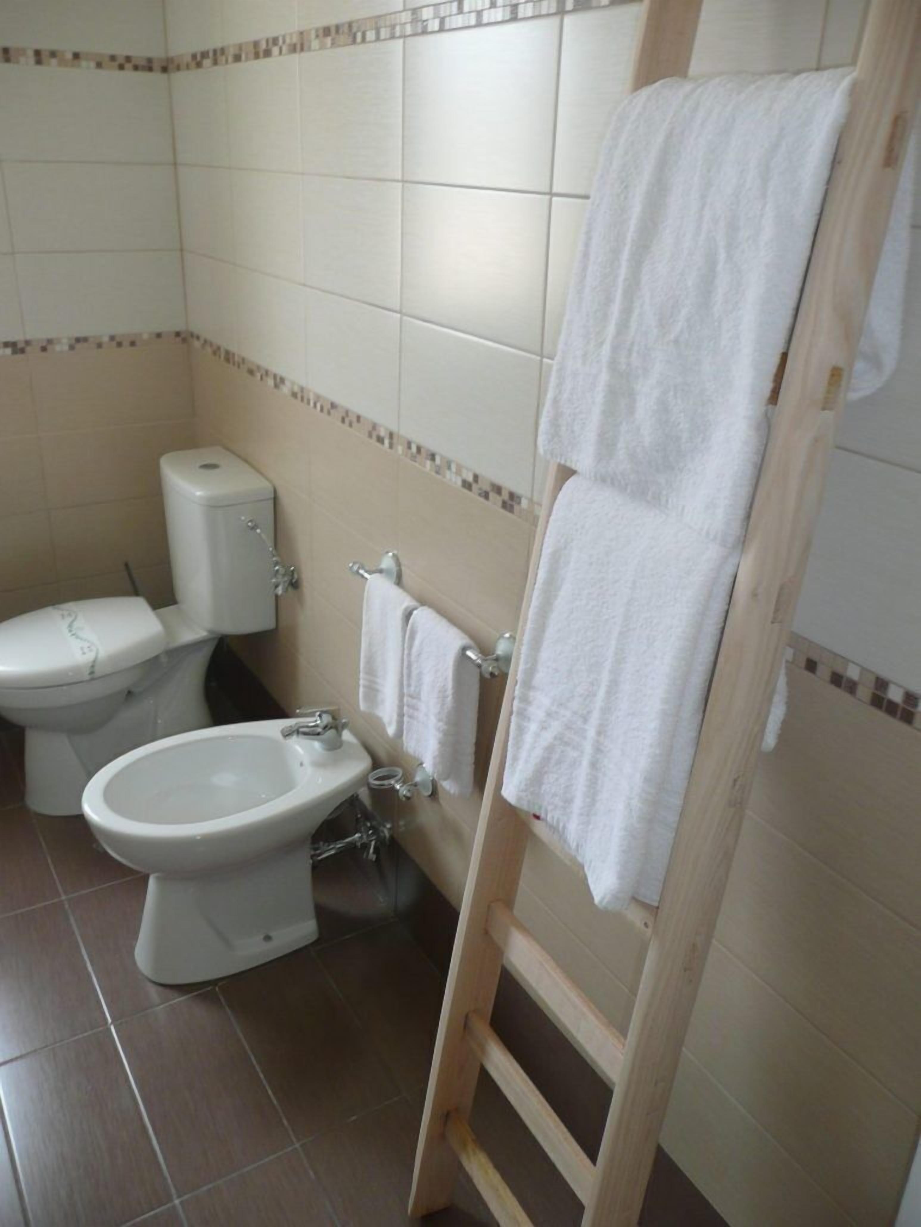 A bathroom with a toilet, bidet, and a wooden ladder leaning against the wall.