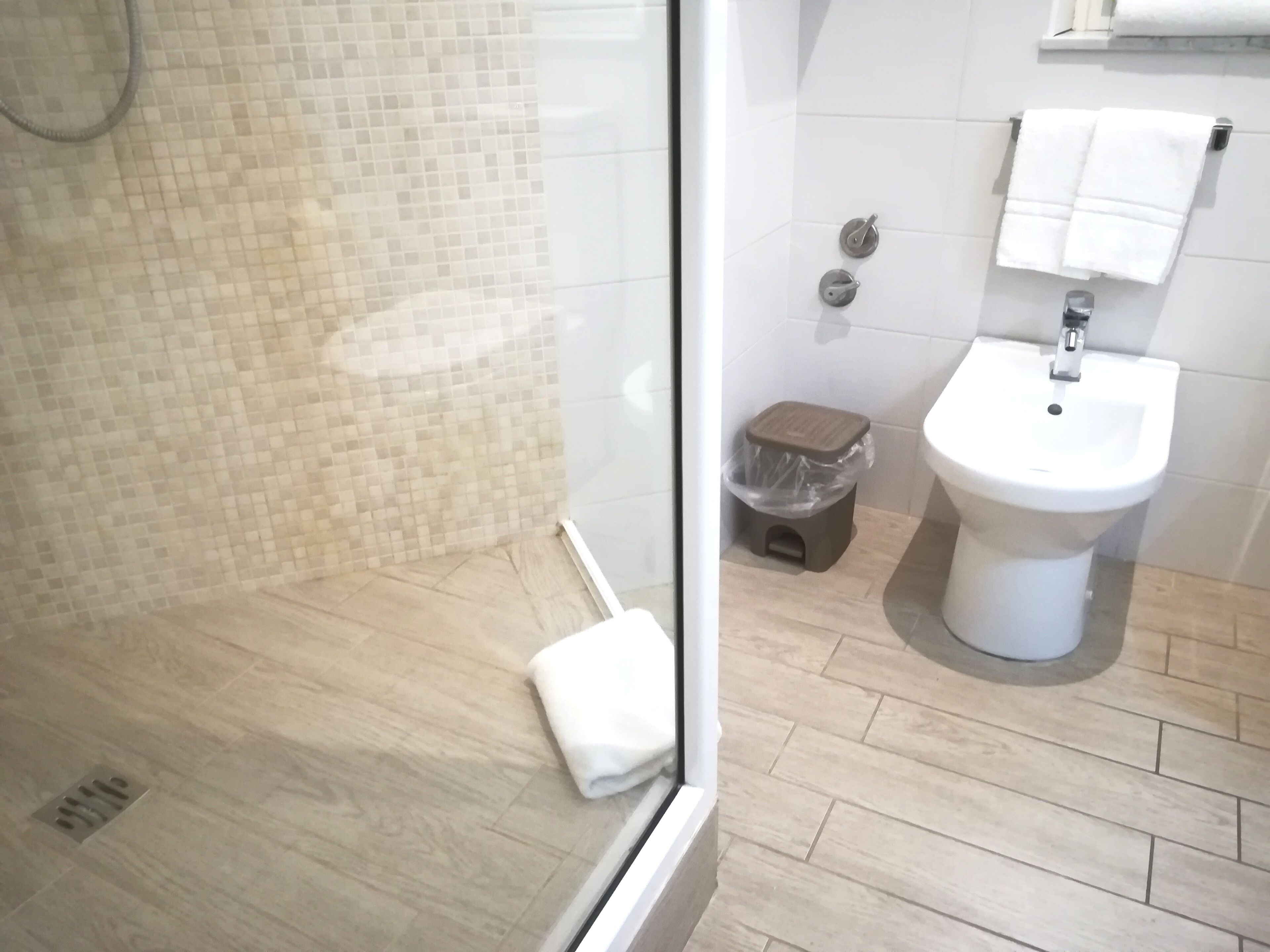 A bathroom with a glass-enclosed shower, a white sink, and a small trash bin.