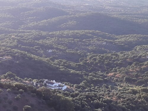 Olive Tree Cottage set in the Quinta de Evoramonte