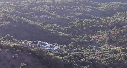 Olive Tree Cottage set in the Quinta de Evoramonte