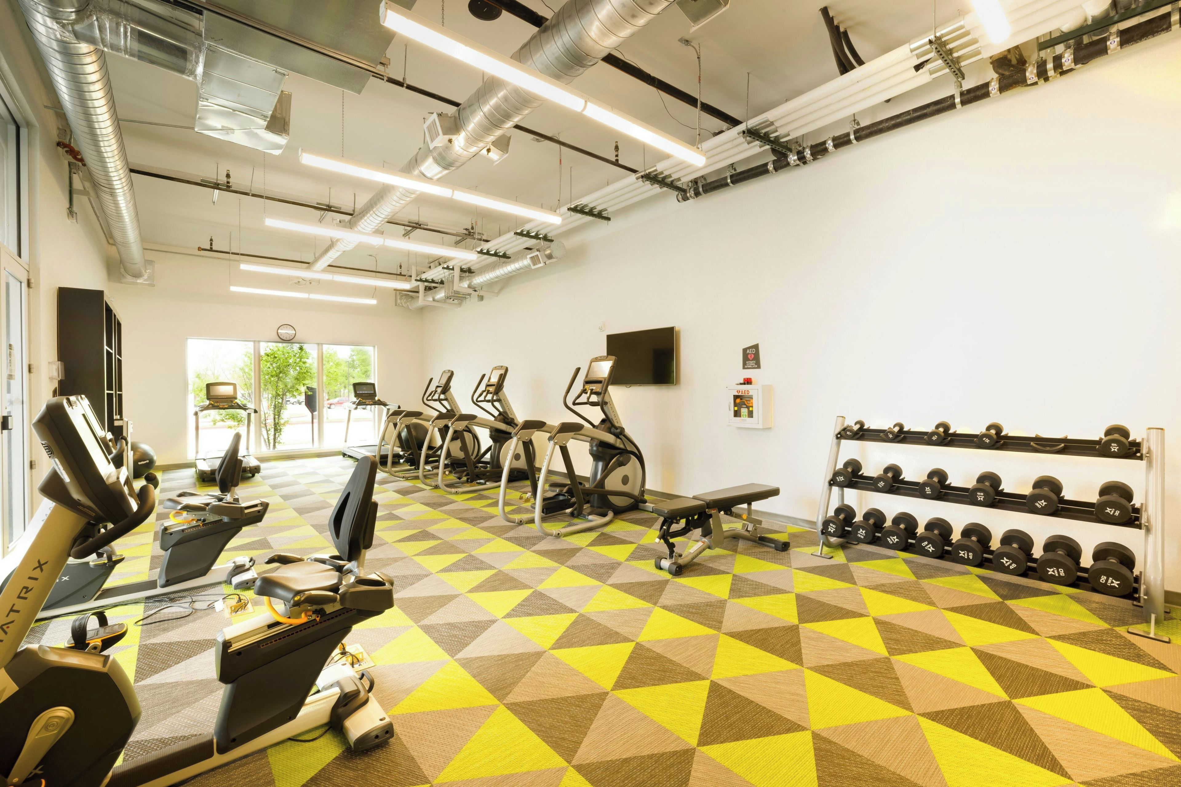 A gym with treadmills, elliptical machines, a bench, and a rack of dumbbells.