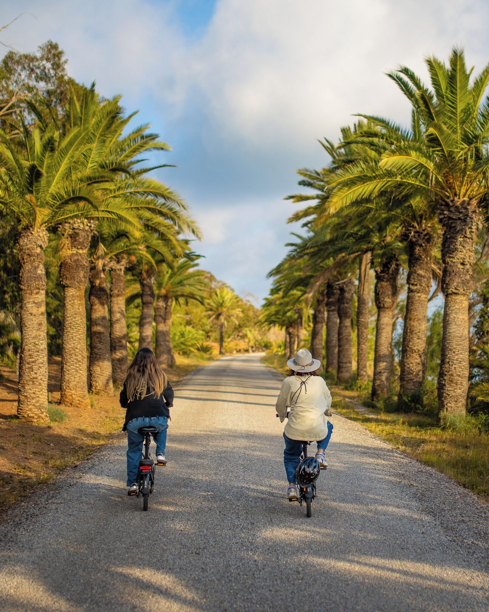 Two people riding bicycles on a gravel road flanked by palm trees.