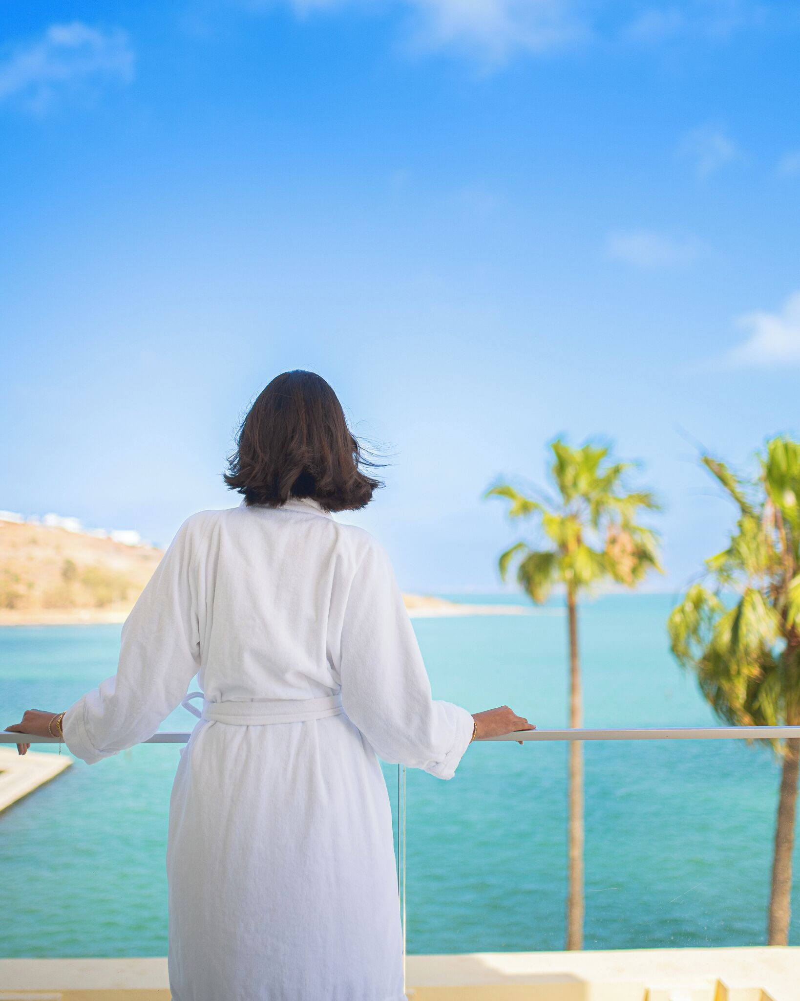 Vue depuis le balcon