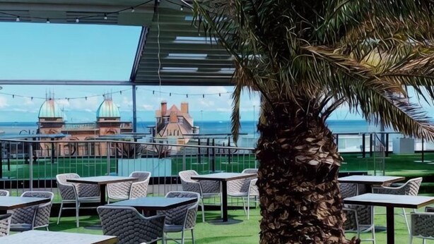 A terrace with tables and chairs, a palm tree, and a view of buildings and water.