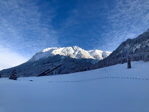 Land view from property