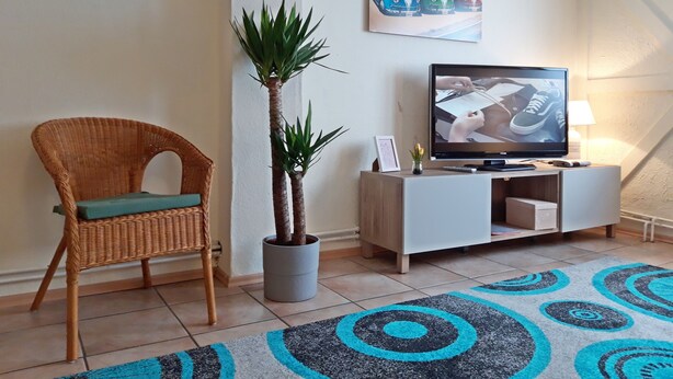 Leilighet, 4 soverom | TV