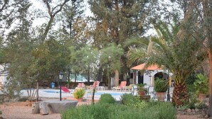 A pool area with lounge chairs and umbrellas, surrounded by trees and potted plants. - Casa Rural Herrera (Villacarrillo)