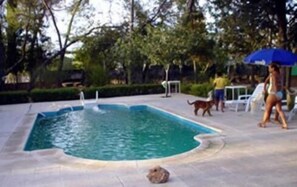 A swimming pool with a small waterfall feature, surrounded by a paved area and greenery. - Casa Rural Herrera (Villacarrillo)