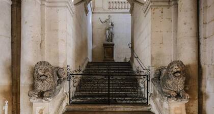 N°5 - Appartement historique au coeur du Centre ancien avec jardin privatif