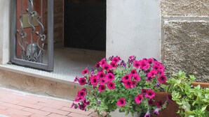 A building entrance with a metal gate, a potted plant with pink flowers, and a number '14' on a column.