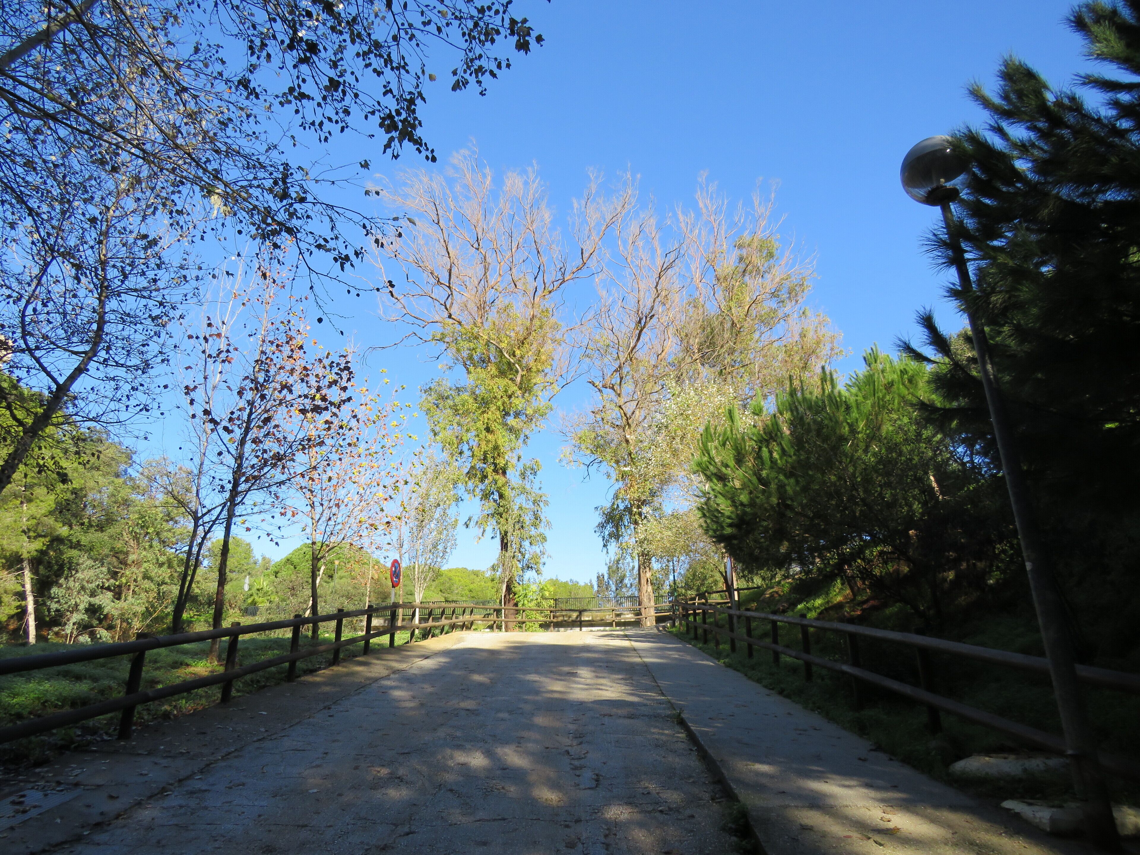 Foto - Villa Costa Marbella