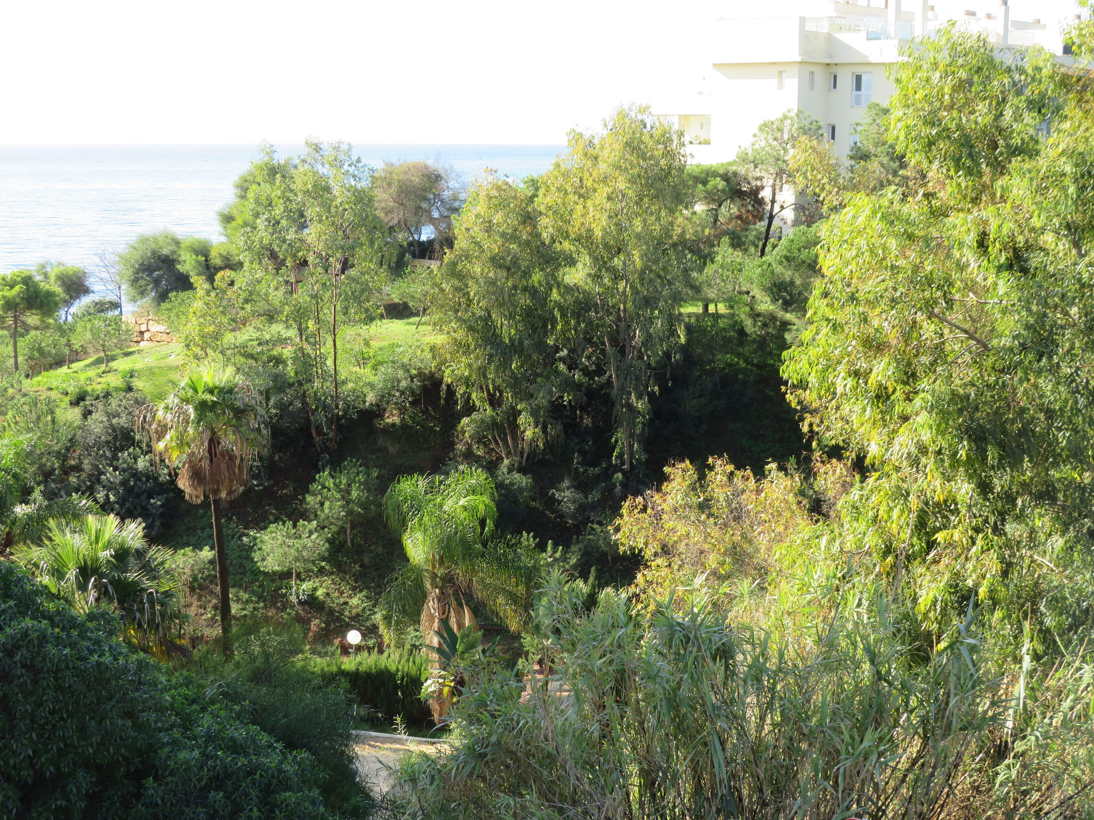 Foto - Villa Costa Marbella