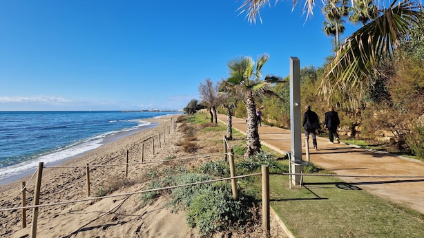 A coastal walkway with palm trees and a clear blue sky. - Rancho Grande (Marbella)