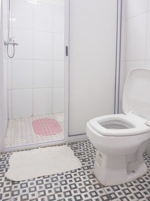 Basic Triple Room, 1 Bedroom - Steves House (Puerto Iguazú)