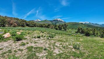Un paisaje montañoso con campos verdes y árboles.