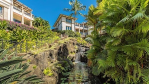 Un jardin luxuriant avec une cascade, des plantes tropicales et une piscine ornée de nénuphars.