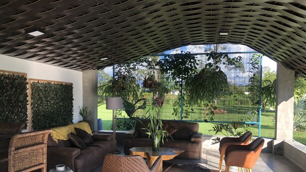 A modern living room with a ceiling design, a view of a garden, and furniture including a sofa, chairs, and a coffee table. - Finca Hotel Brasilia (La Tebaida)