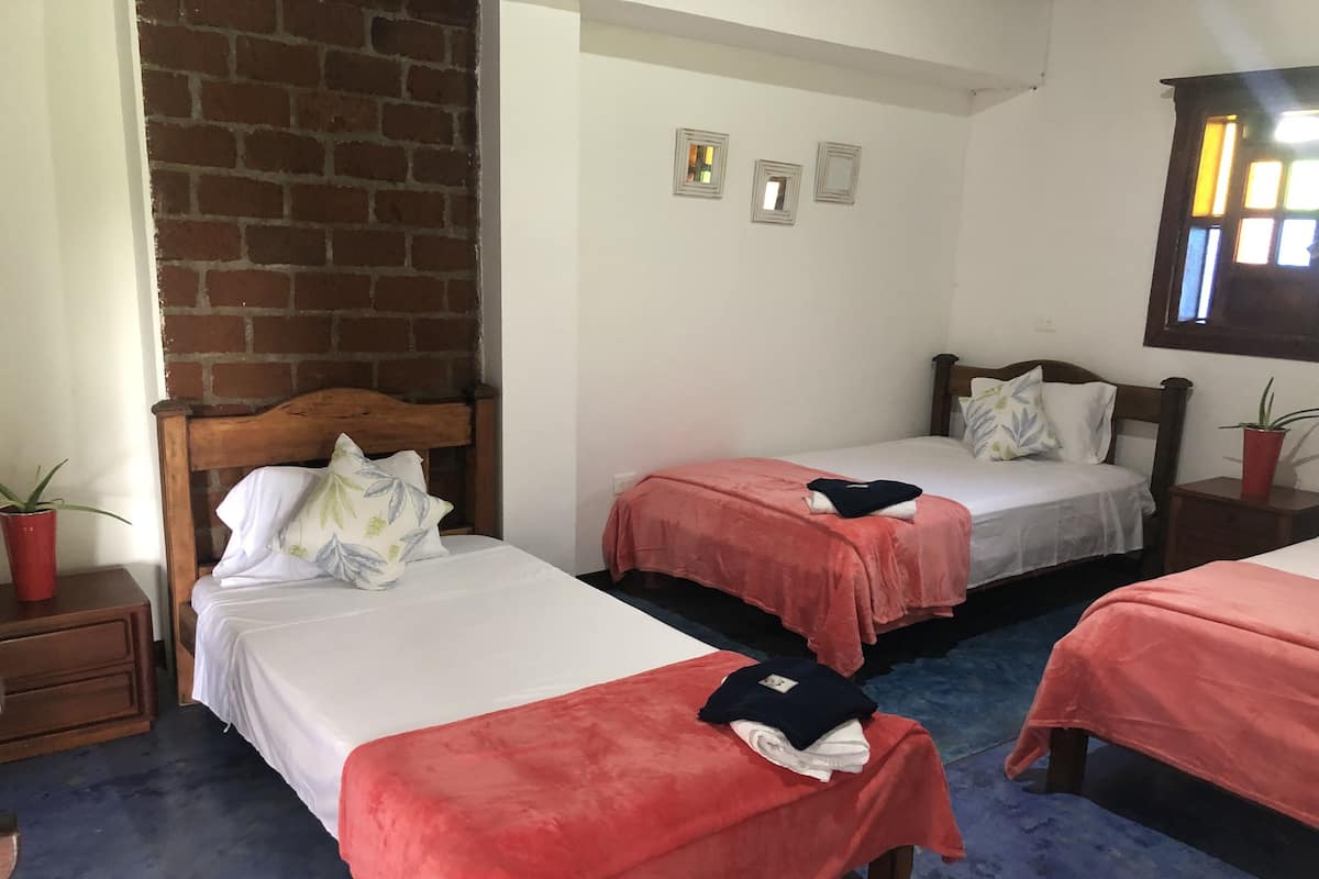 Een hotelkamer met twee enkele bedden, een bakstenen muur, een klein raam en een bloempot met plant.