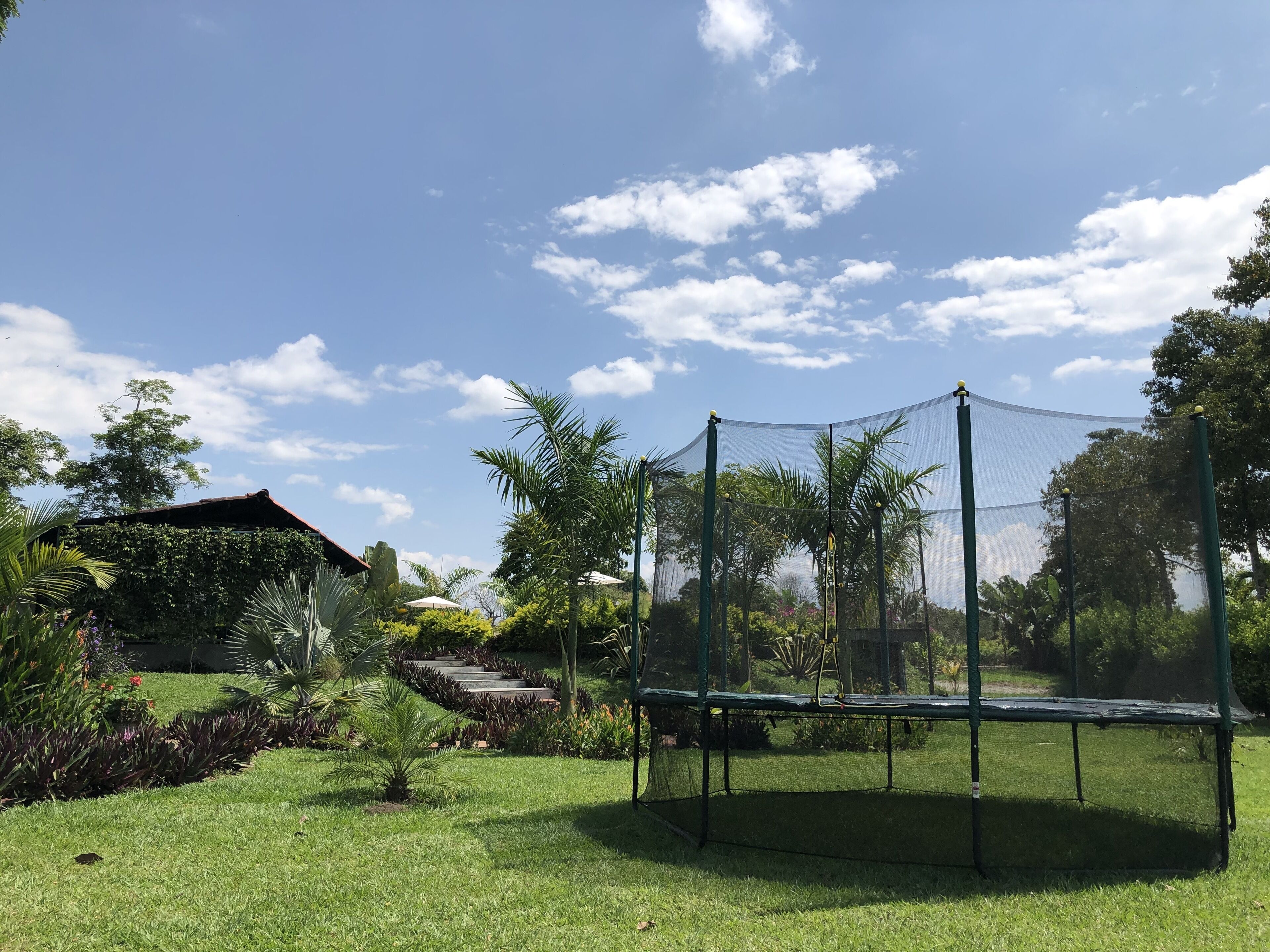A grassy outdoor area with a trampoline, surrounded by lush greenery and a clear blue sky.