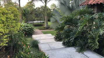 Um caminho no jardim leva a uma casa com telhado de telhas vermelhas, cercada por diversas plantas tropicais e um trampolim.