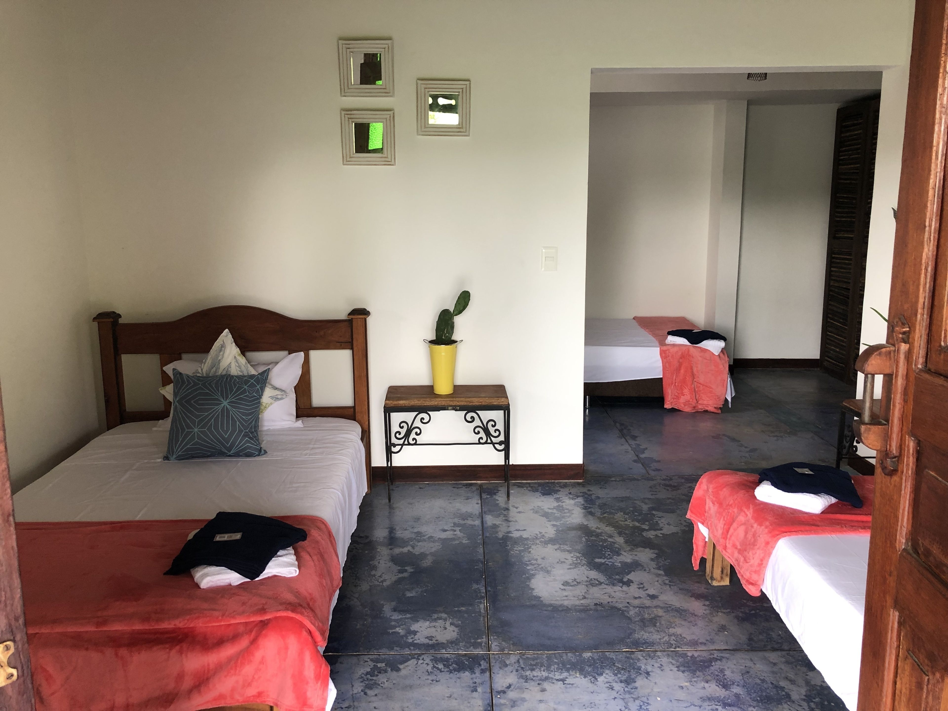 A hotel room with two beds, a small table with a plant, and a mirror on the wall.