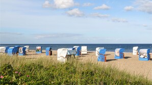 Una playa con filas de sillas y sombrillas azules y blancas, dispuestas en línea a lo largo de la orilla.