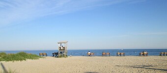 78 Seaview Ave, rear unit. Big Private Yard, 10 Minute Walk to Beaches!