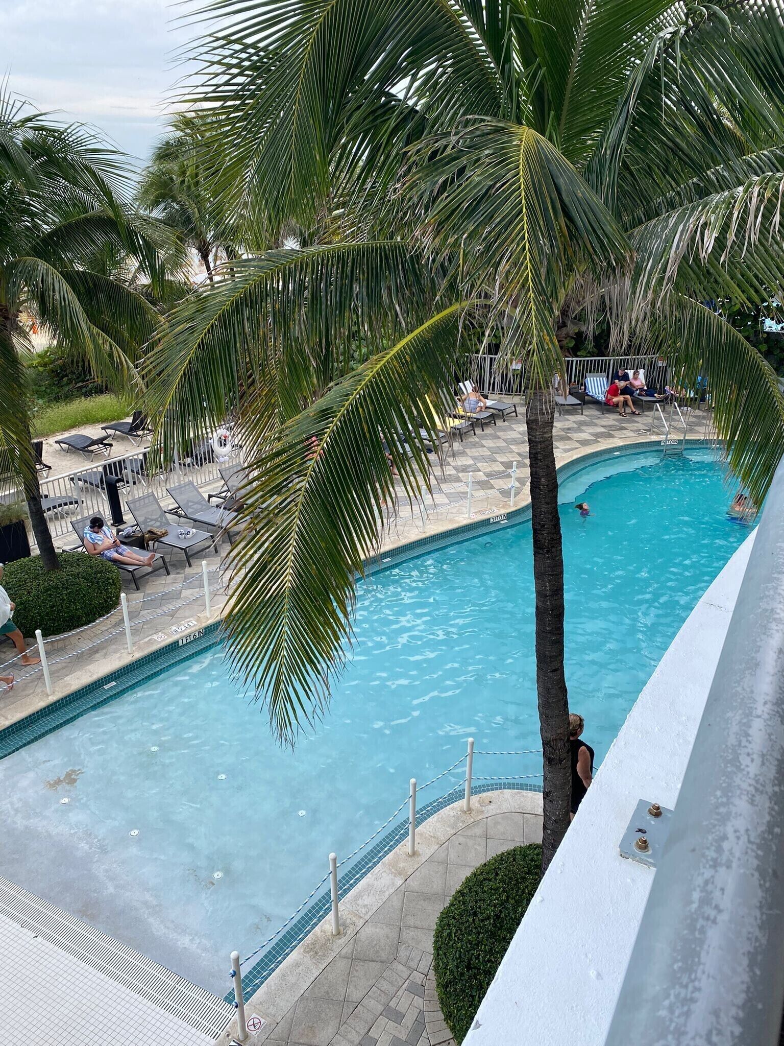 Un área de piscina con sillas de descanso y palmeras.