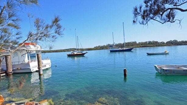 A marina with several boats docked, clear water, and a tree-lined shore.