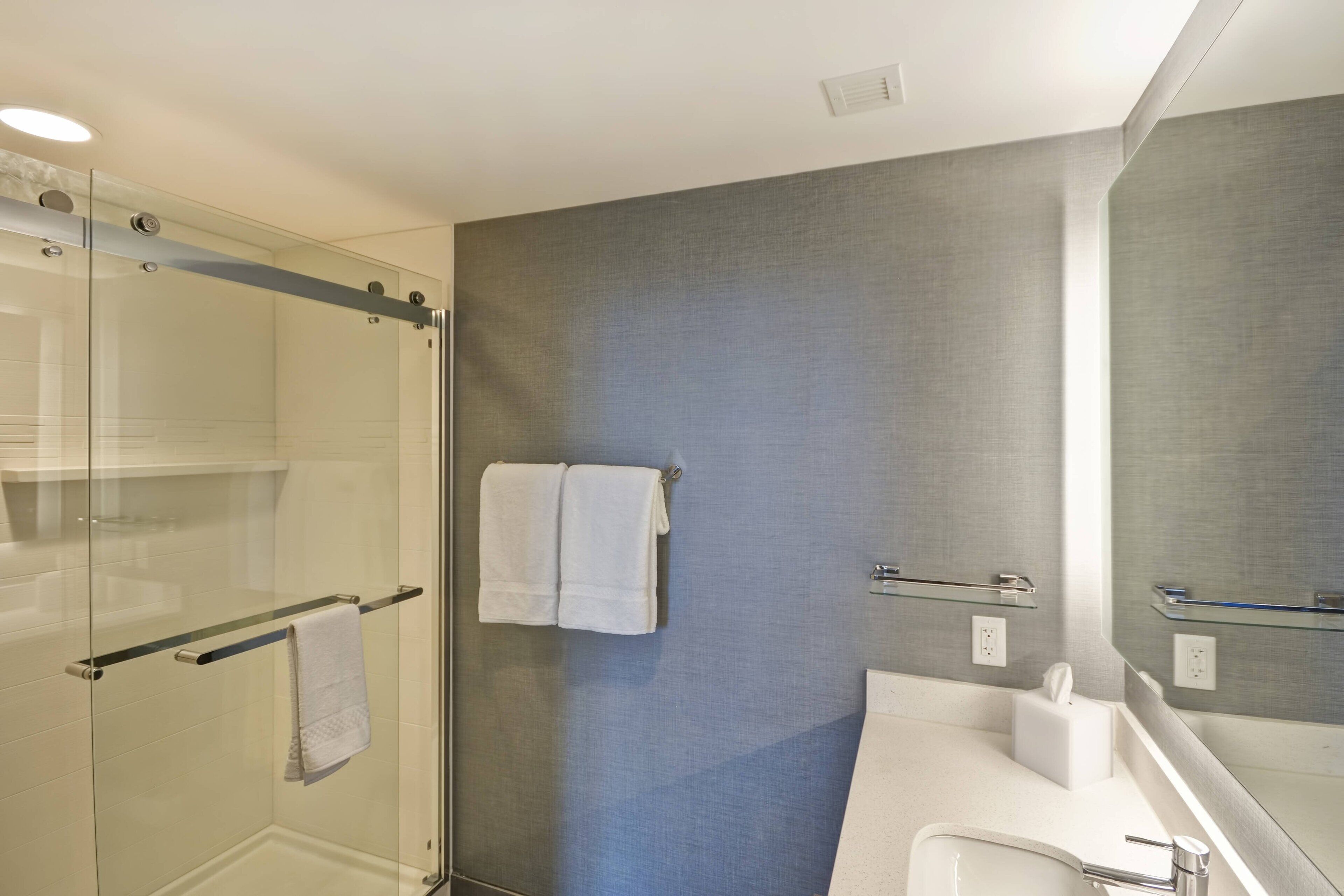 A modern bathroom with a glass shower enclosure, a white sink, and a large mirror.