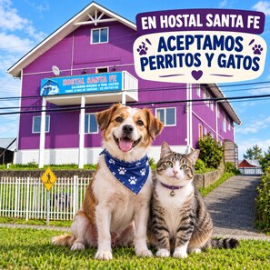 A dog and a cat sitting in front of a building with a sign that reads 'EN HOSTAL SANTA FE ACEPTAMOS PERRITOS Y GATOS.' - Hostal Santa Fe (Castro)