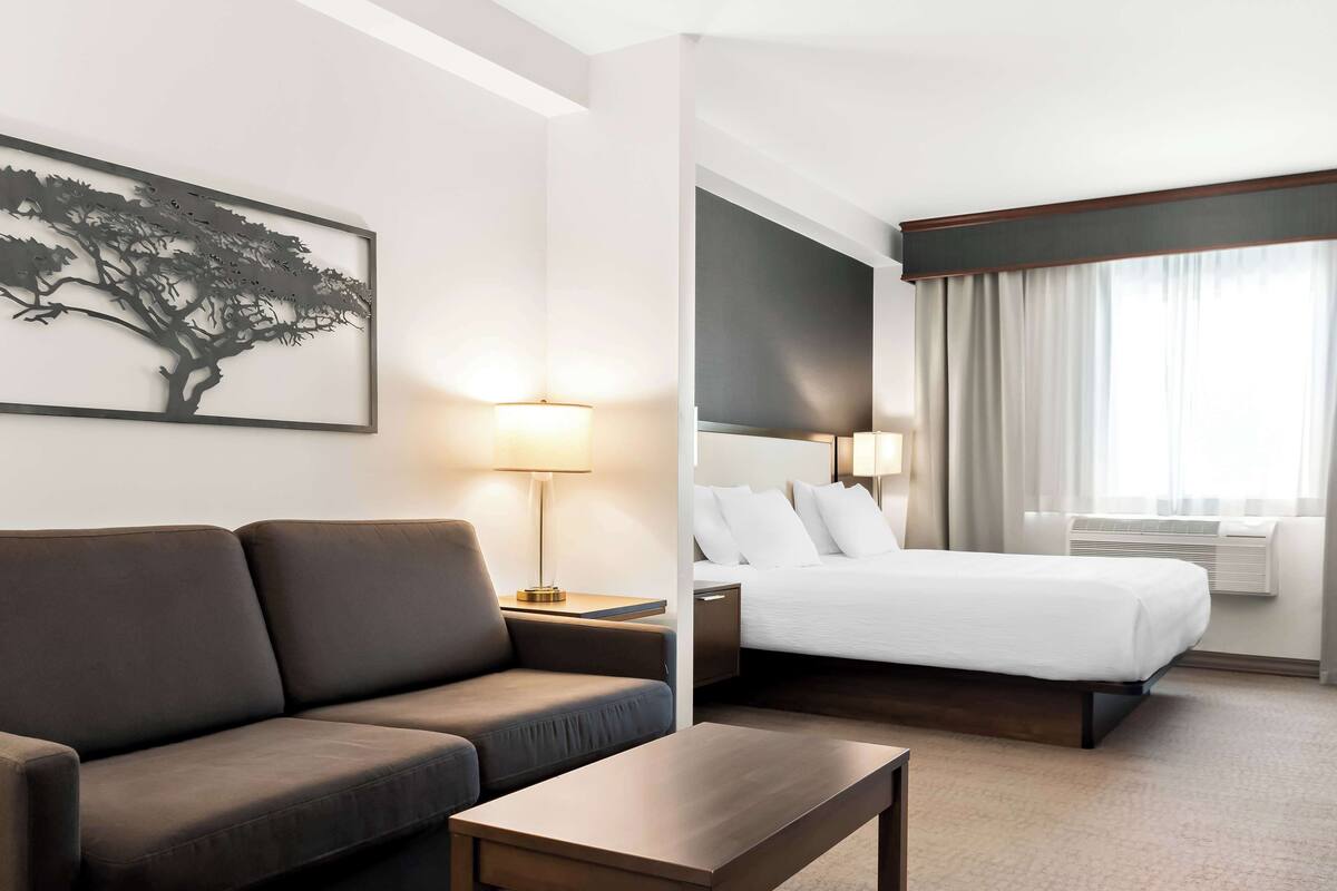 A modern hotel room with a sofa, a bed, a nightstand, a lamp, and a wall-mounted artwork.