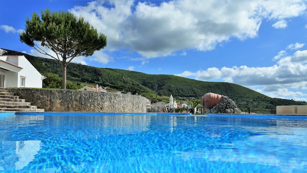 Ein Swimmingpool mit klarem, blauem Wasser, einer Steinmauer und einem Baum im Hintergrund.