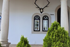 Detalle exterior