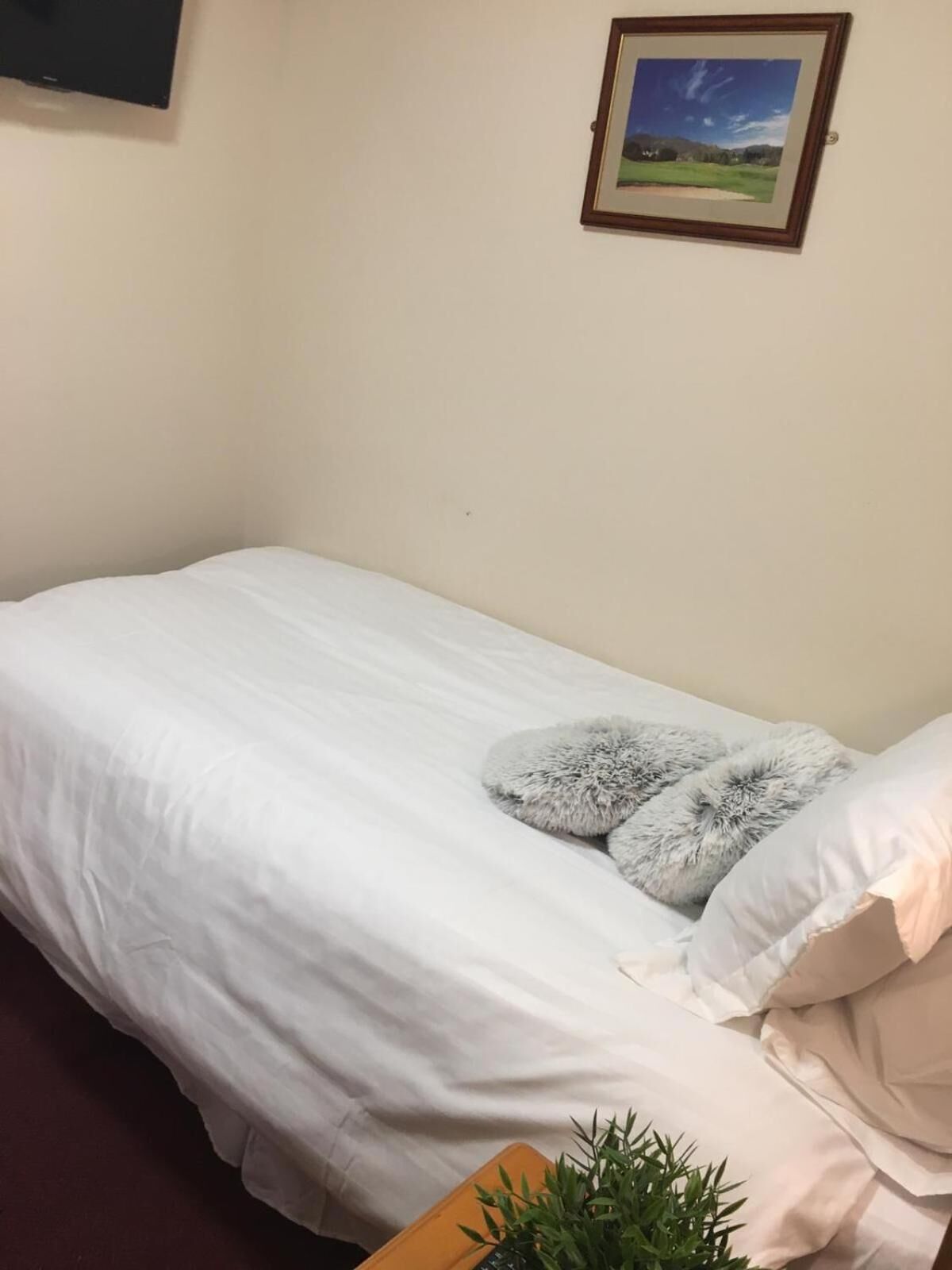 Photo - Terra Nova Hotel