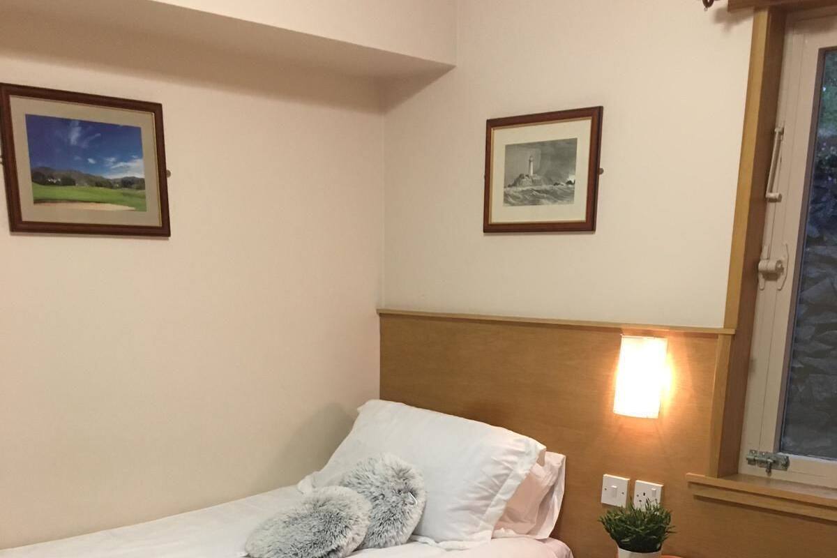 A single bed with a wooden headboard, a bedside table with a lamp, and a small plant.