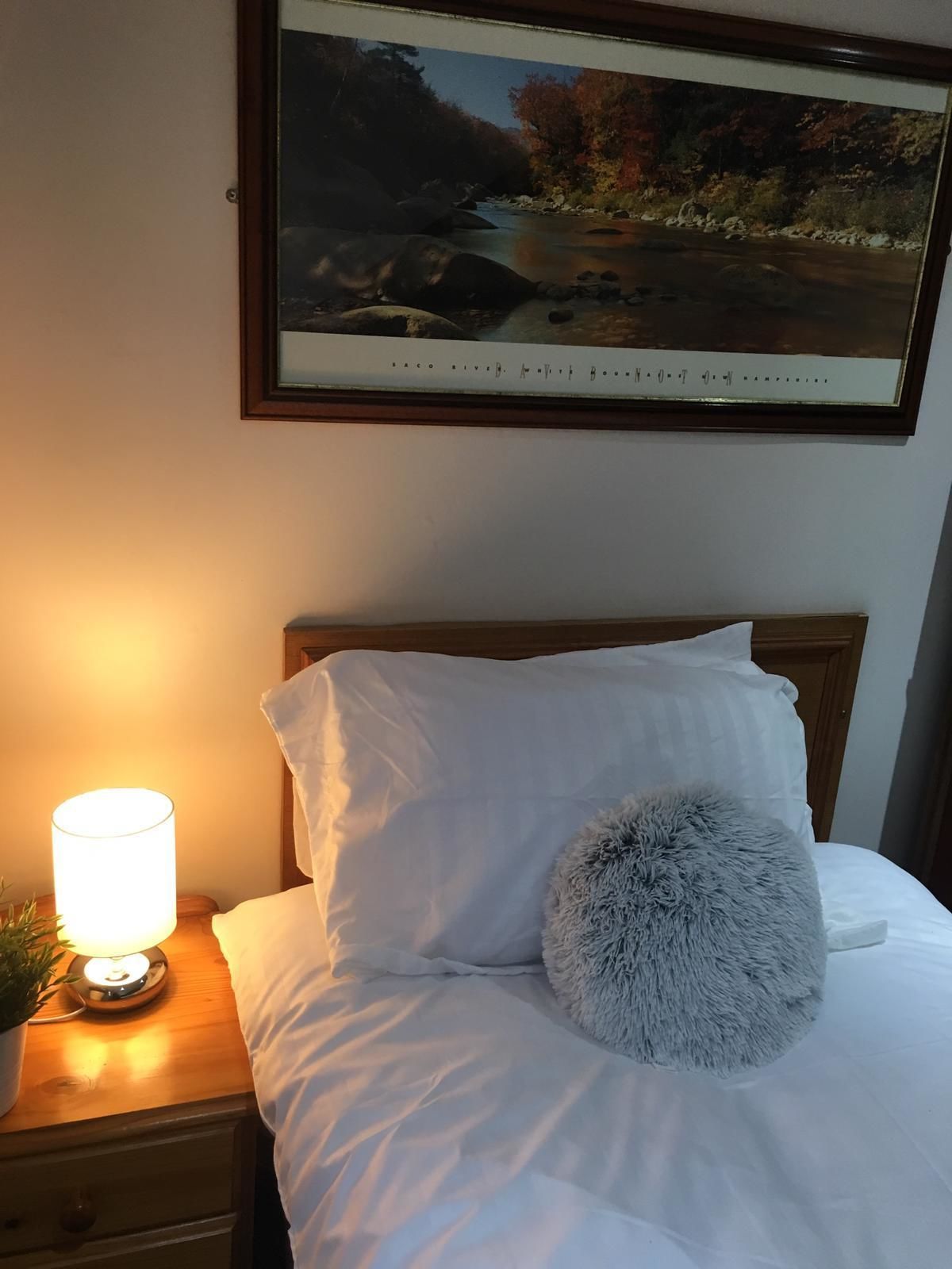 Photo - Terra Nova Hotel