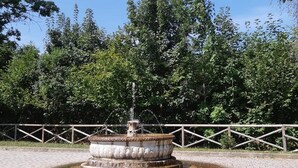 A stone fountain with water spouting from the top, surrounded by a paved area and a wooden fence.